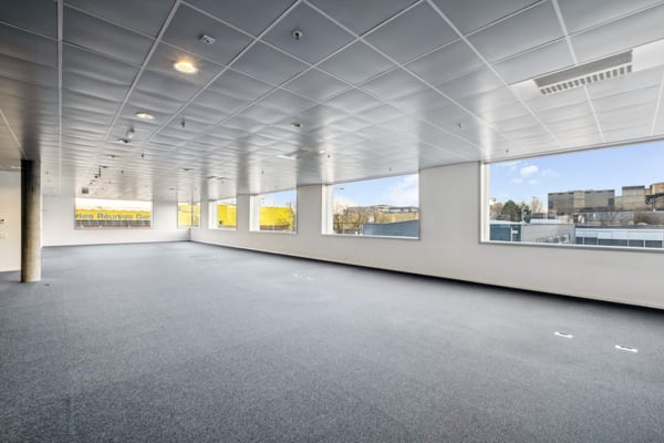 Surfaces mixtes à louer à Plan-les-Ouates 7