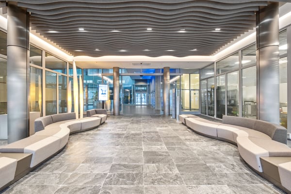 Surfaces mixtes à louer à Plan-les-Ouates 2