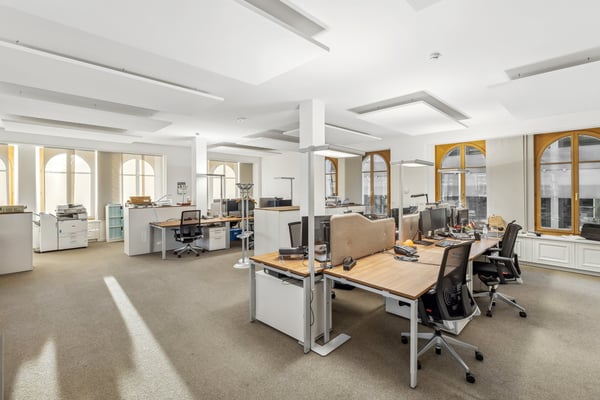 A louer, immeuble de caractère situé dans l'hypercentre 4