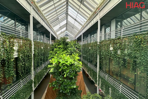 A louer, surfaces semi industriel à Meyrin au sein du campus The Hive. 2