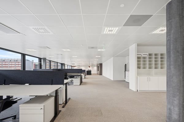 Surface mixte moderne & aménagée à louer 3