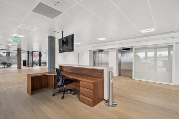 Surface mixte moderne & aménagée à louer 2