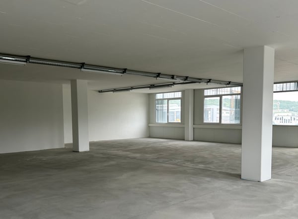 Surfaces mixtes à louer à Satigny 4