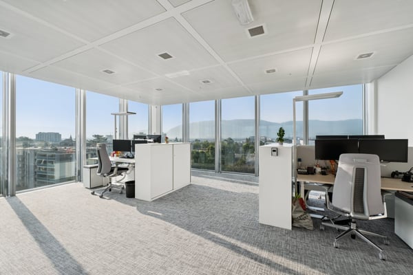 Petit-Lancy - Bureaux modernes à louer 4