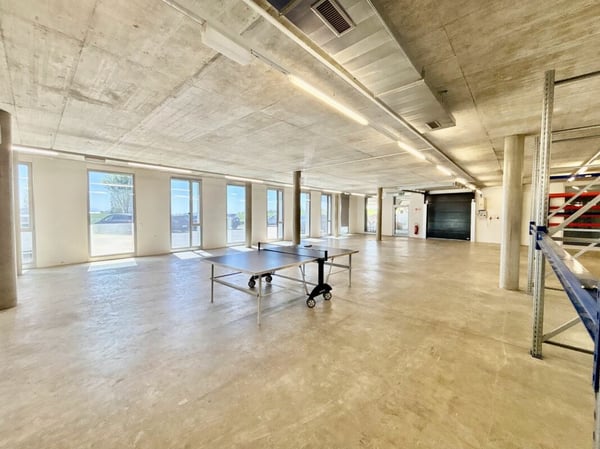 Vaud local stockage 250 ou 400 m2 showroom depot à louer En Budron Mont-sur-Lausanne