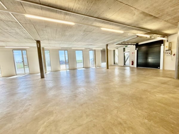 Vaud local stockage 400 m2 showroom depot à louer En Budron Mont-sur-Lausanne
