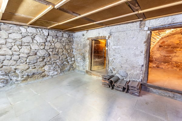 Saint-Gingolph - belle bâtisse avec appartement indépendant 16