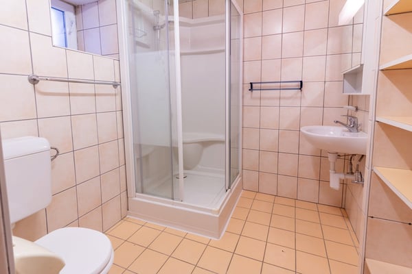 Saint-Gingolph - belle bâtisse avec appartement indépendant 15
