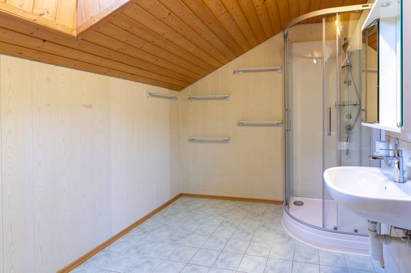 Saint-Gingolph - belle bâtisse avec appartement indépendant 11