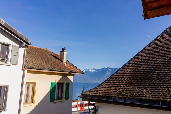 Saint-Gingolph - belle bâtisse avec appartement indépendant 19