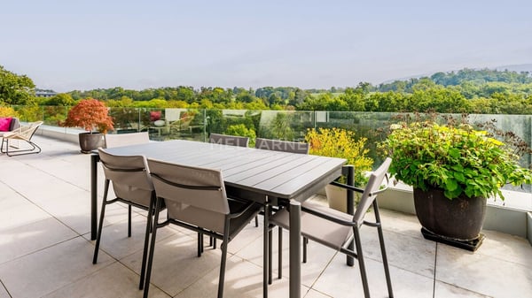 1 pièces terrasse avec vue panoramique sur la nature 2