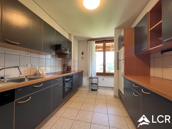 Magnifique immeuble à Leysin / 2 Appartements et 2 commerces / 7 places de parc 7