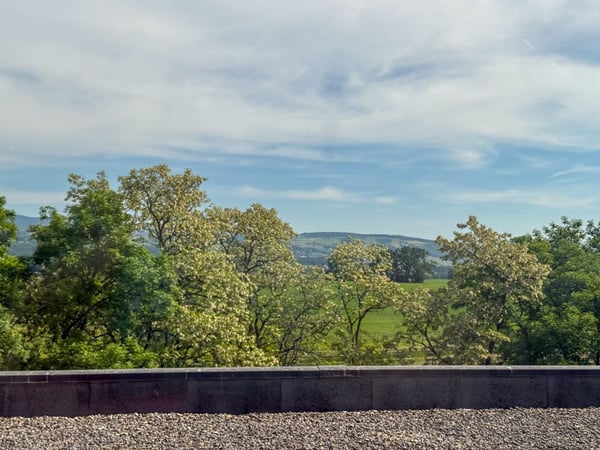 3 premiers loyers offerts - Bureau à Nyon - Terrasse - Vue lac 5