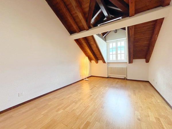 Superbe appartement 1p / 3 chambres + mezzanine / Balcon 7