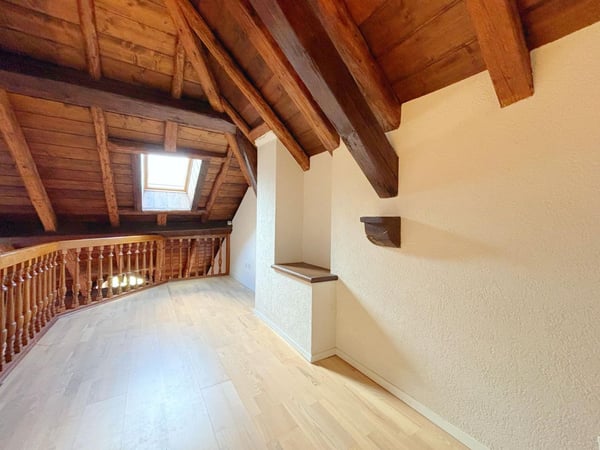 Superbe appartement 1p / 3 chambres + mezzanine / Balcon 5