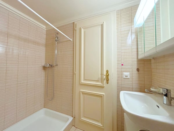 Superbe appartement 1p / 3 chambres + mezzanine / Balcon 8