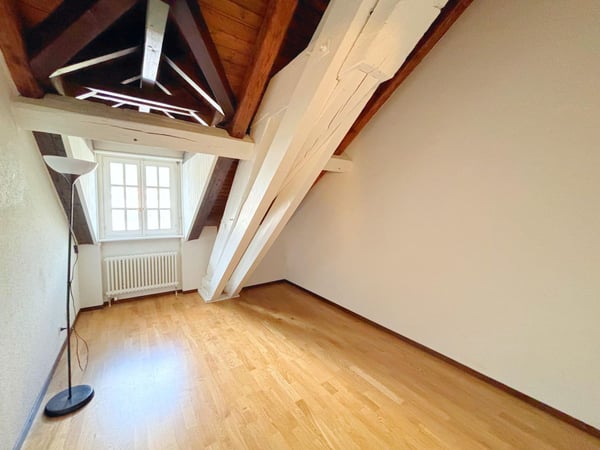 Superbe appartement 1p / 3 chambres + mezzanine / Balcon 6