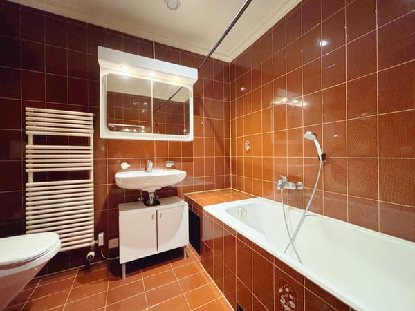 Superbe appartement 1p / 3 chambres + mezzanine / Balcon 9