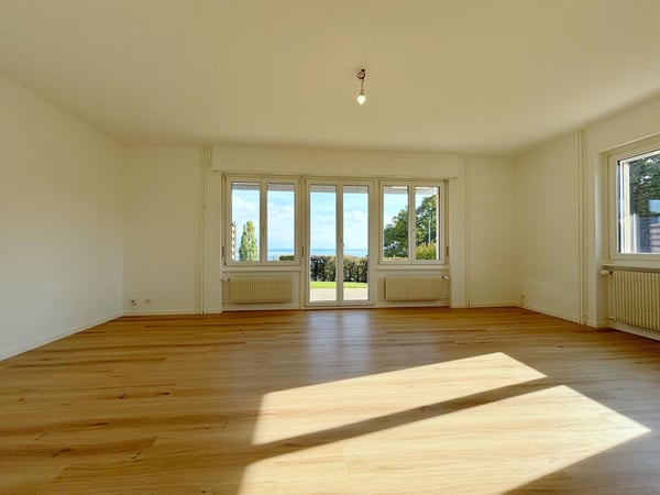 Bel appartement 1.5p - 2 CHB / Jardin avec vue lac / Atelier privatif 4