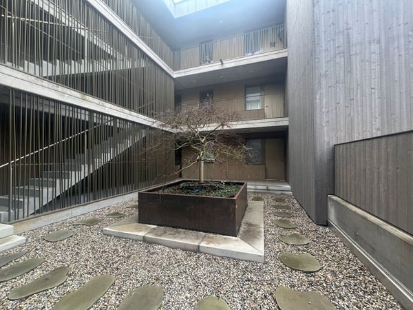 À louer - Magnifique appartement neuf de 1.5 pièces à Payerne (VD) 7