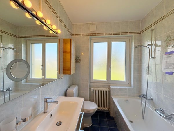 Bel appartement 1.5p - 2 CHB / Jardin avec vue lac / Atelier privatif 5