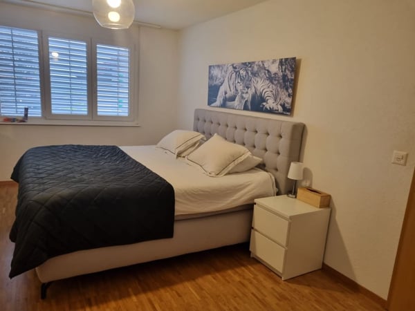 Bel appartement de 1.5 p à Montbrelloz 5