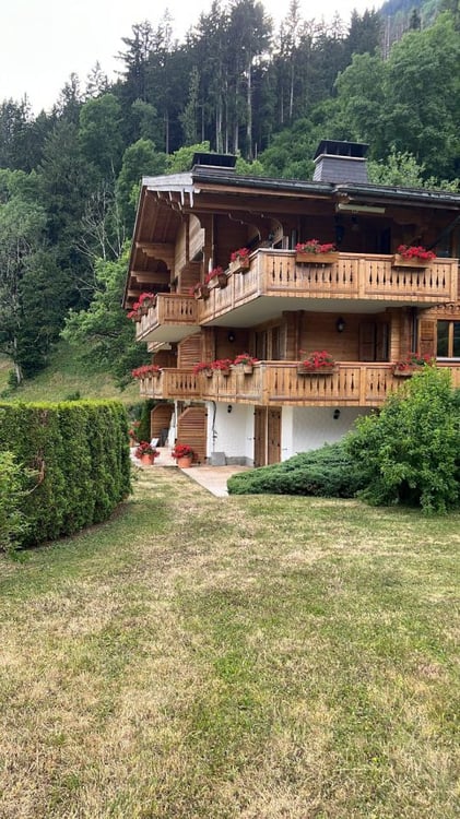 Magnifique appartement de 1.5 pièces avec vue panoramique sur les Alpes - Château-d'Oex 8