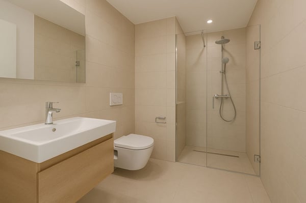 Duplex meublé de 5.5p avec vue partielle au lac 5