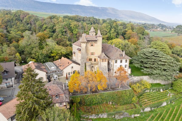 Immagine anteprima degli immobili