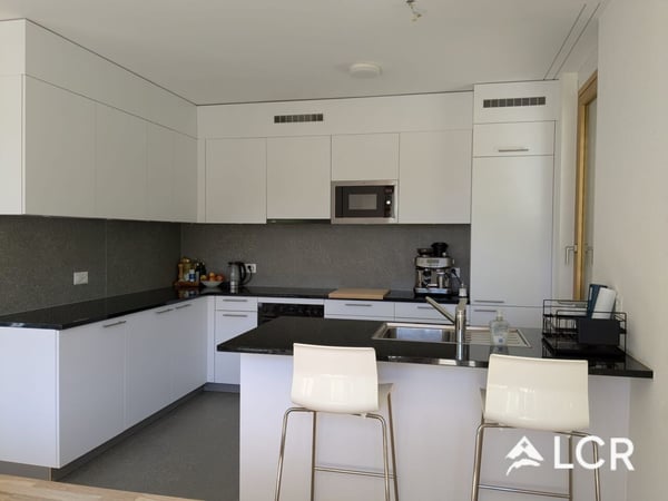 Magnifique Triplex de 5.5P / 4 CHB / 3 SDB / 1 Terrasse / vue orientation sud 3