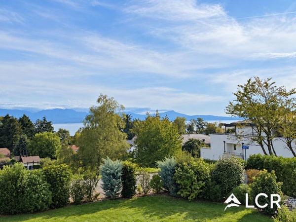 Magnifique appartement meublé de 4,5 pièces - Terrasse - Vue lac 1