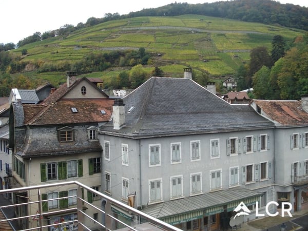 Bel immeuble de rendement / 5 appartements / 2 locaux 2
