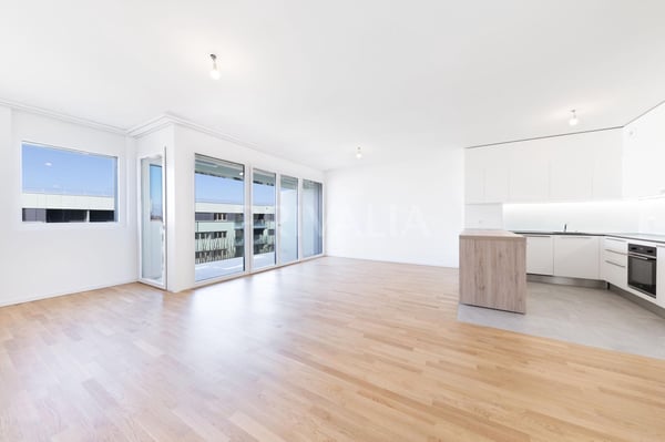 Elégant attique neuf avec vue panoramique 4