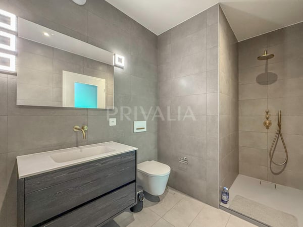 Élégant 1 pièces avec terrasse privative au coeur de Chambésy 5