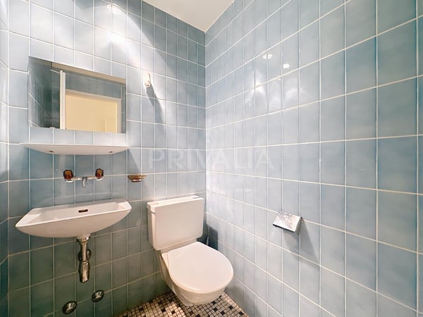 ne pas manquer : Bureaux de 240 m² aux Eaux-Vives 7