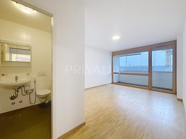 Bel attique à proximité des organisations internationales 3