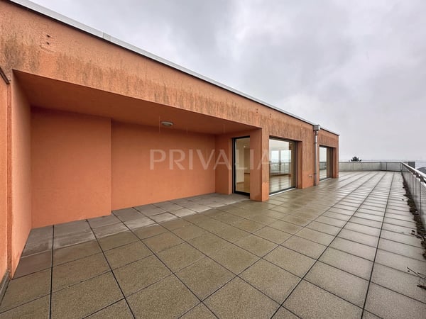 Bel attique à proximité des organisations internationales 6