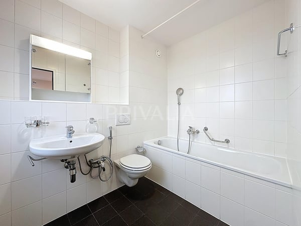 Bel attique à proximité des organisations internationales 5