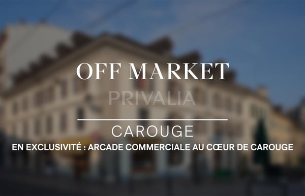 En exclusivité : Arcade commerciale louée de 230 m² PPE au coeur de Carouge 1