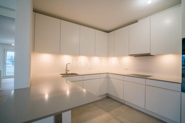 Magnifique duplex de 8,5 pièces au sein d'une résidence de standing 3