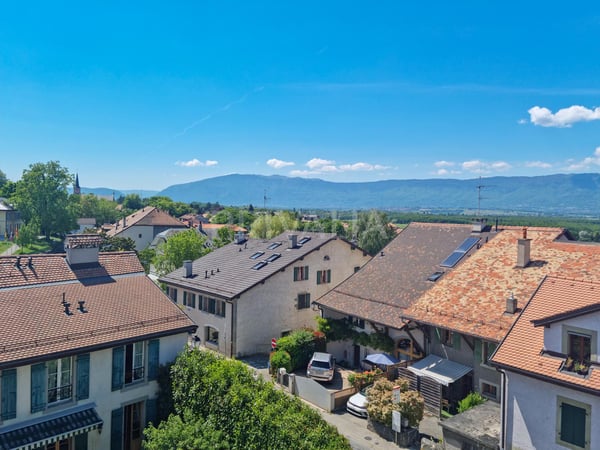 Superbe appartement lumineux au coeur de Bernex 11