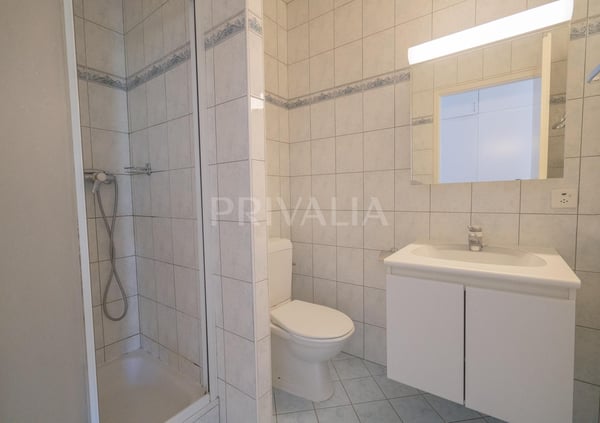 Spacieuse villa individuelle avec baies vitrées, logée dans un environnement calme et verdoyant en pleine Champagne Genevoise 8