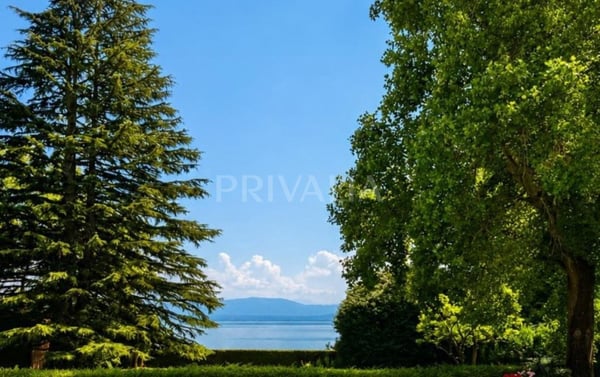 Propriété pieds dans l'eau avec ponton privé 1