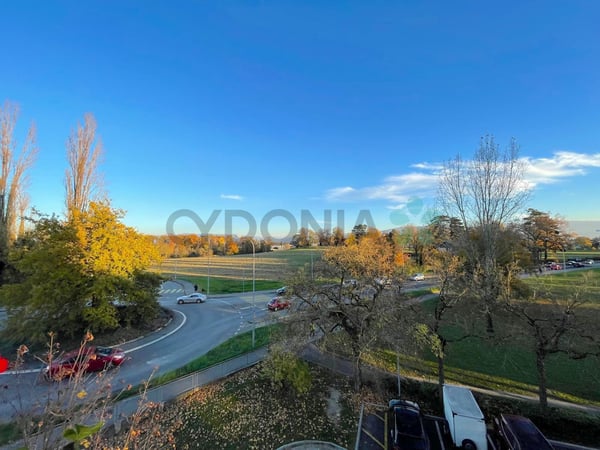 Aperçu de l'image de l'immobilier