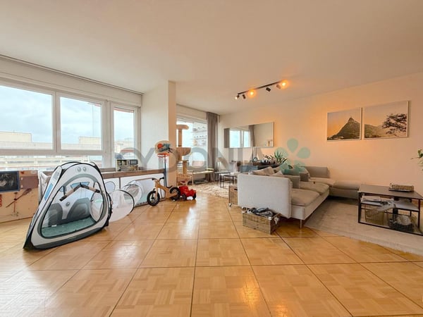 Appartement 1 pièces traversant à Grand-Lancy 3