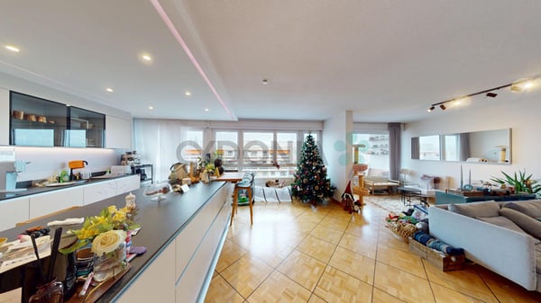 Appartement 1 pièces traversant à Grand-Lancy 1