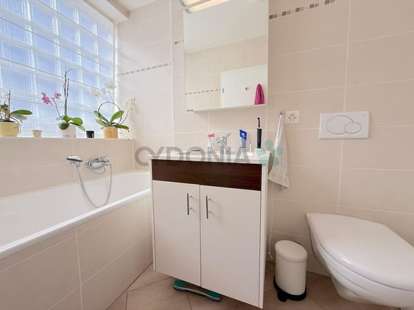 Sublime attique traversant de 1 pièces avec terrasse 10