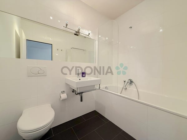 Duplex en attique à Plan-les-Ouates 9