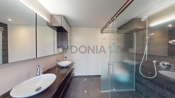 Duplex en attique à Plan-les-Ouates 5