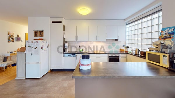 Sublime attique traversant de 1 pièces avec terrasse 3